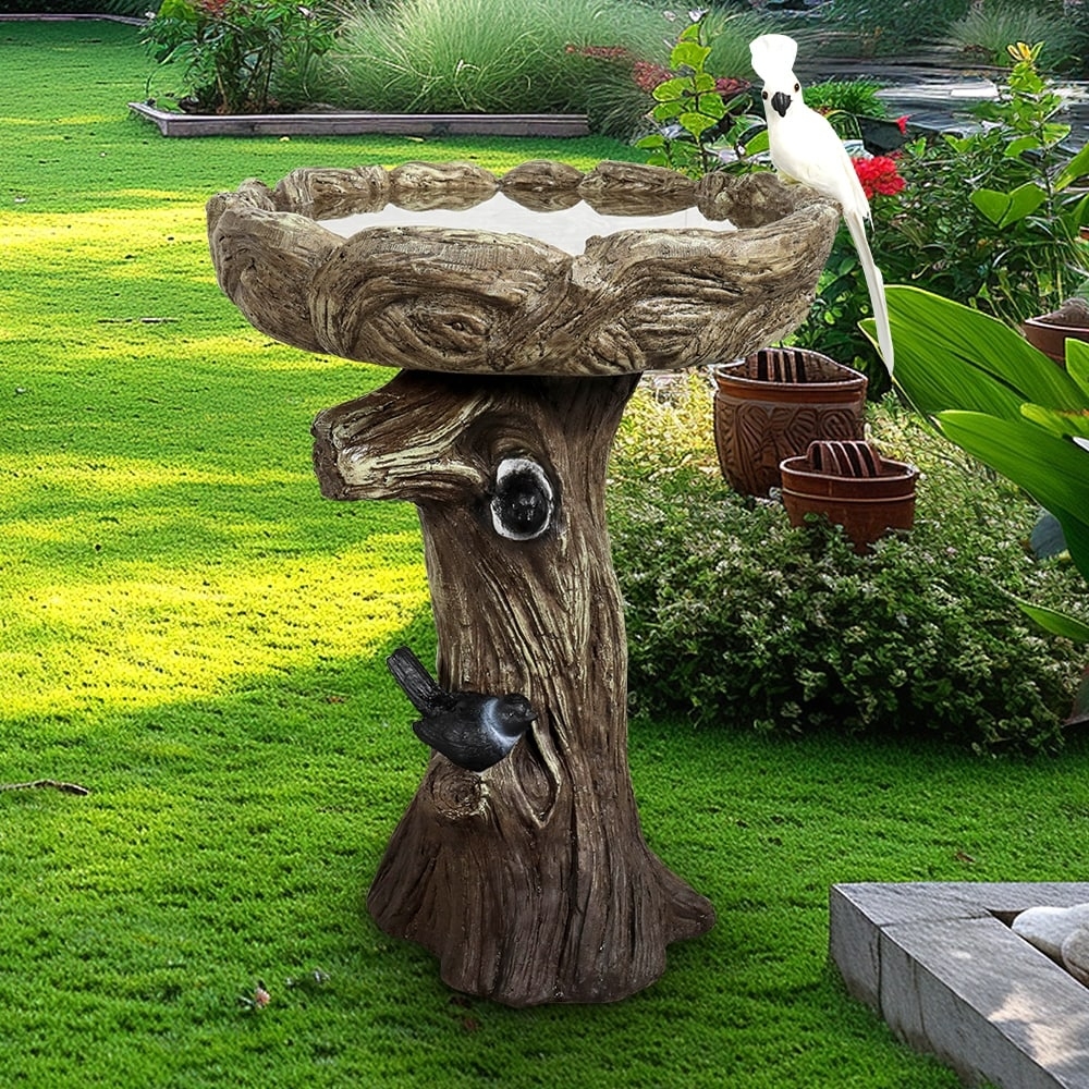 Birdbath with Tree Stump Pedestal and Textured Bark