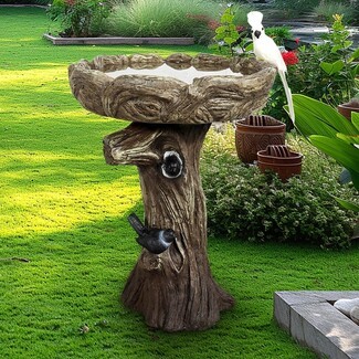 Birdbath with Tree Stump Pedestal and Textured Bark
