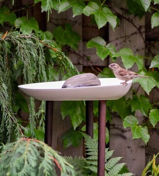 Birdbath with Tripod Base and Organic Matte White Shape