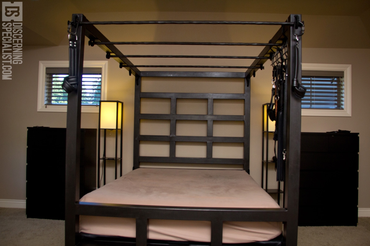 Canopy Bed: Overhead Rungs Bar Bed Design Furniture