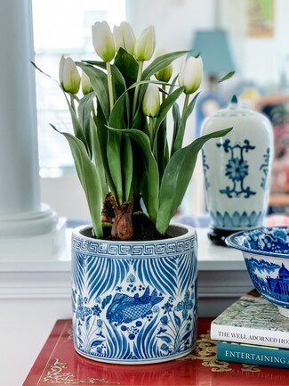 Ceramic Planter: Fish Motif & Greek Key Border Orchid Tabletop Decor