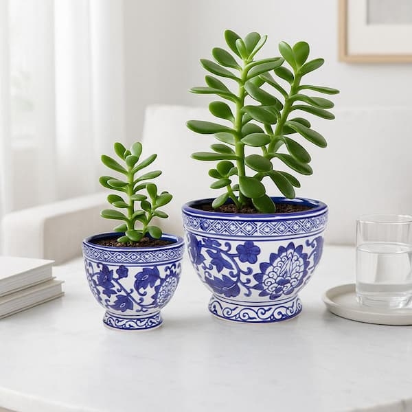 Ceramic Planter: Footed Base & Chinoiserie Patterned Indoor Planters