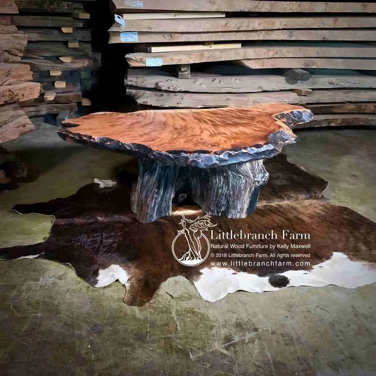 Coffee Table with Figured Grain and Natural Tree Stump Base
