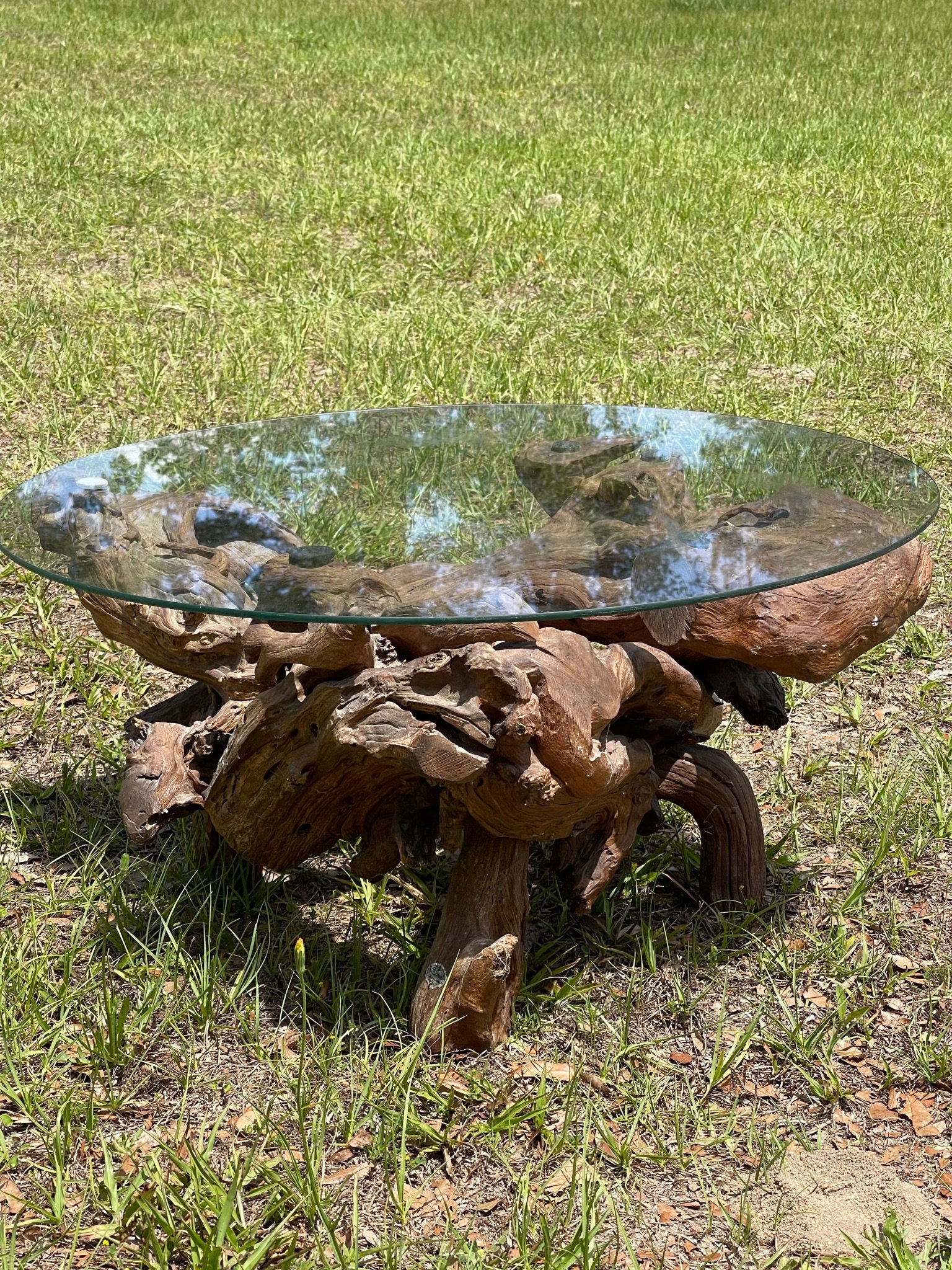 Coffee Table with Gnarled Wood and Sculptural Organic Form