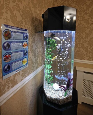 Column Aquarium Hexagonal Shape and Vertical Bubble Feature