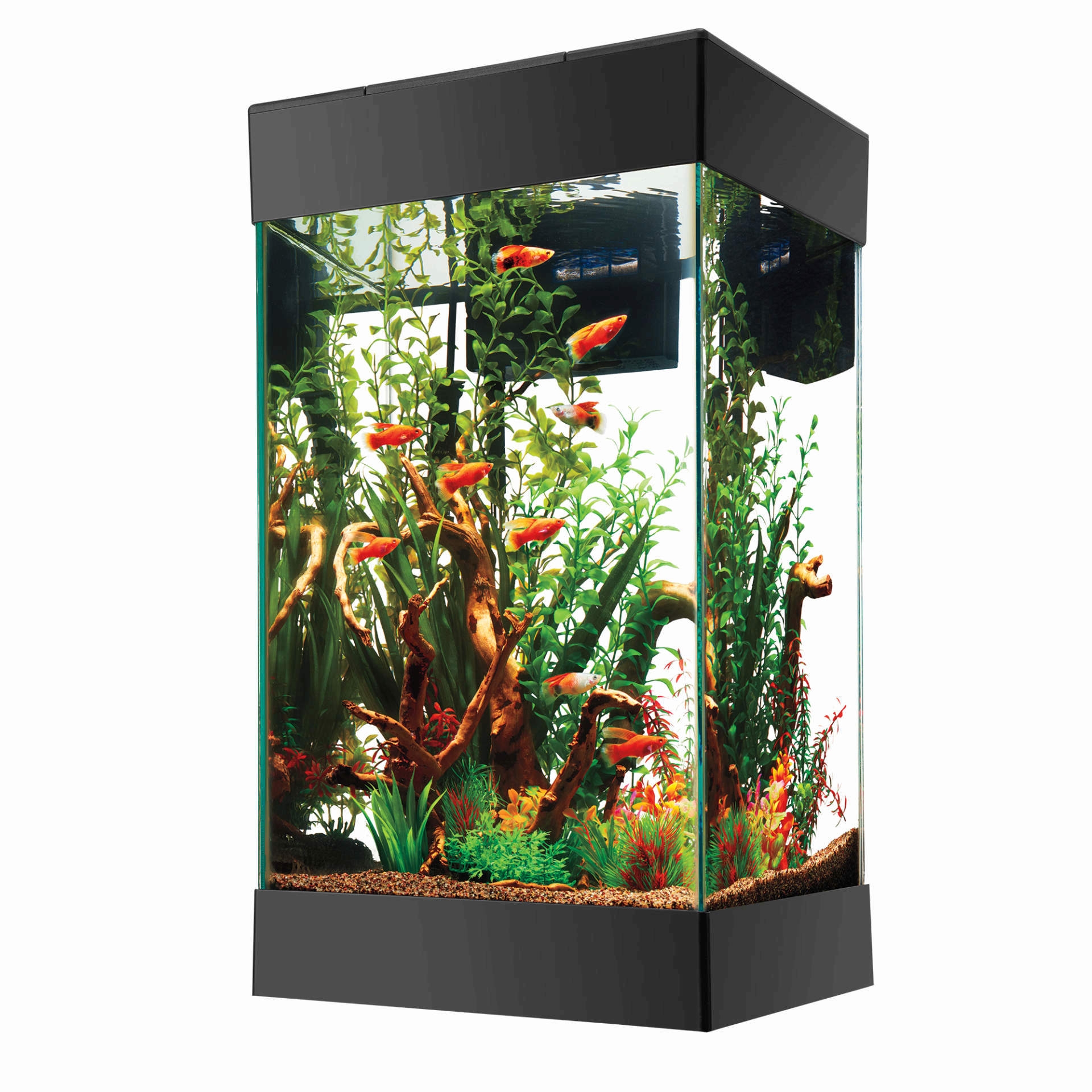 Column Aquarium Vertical Shape and Matte Black Trim Design