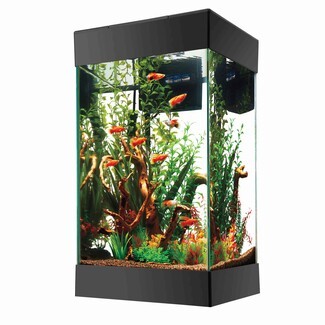 Column Aquarium Vertical Shape and Matte Black Trim Design