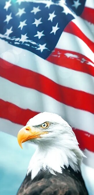 Digital Wallpaper Waving Flag Background Patriotic Symbols