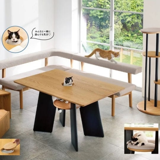 Dining Table Cat Hole Cutout Japandi Cat Furniture Oak