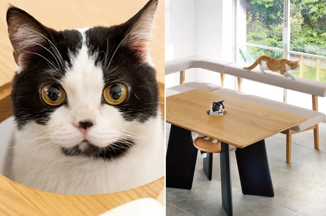 Dining Table Central Cavity Pet Integrated WFH Desk
