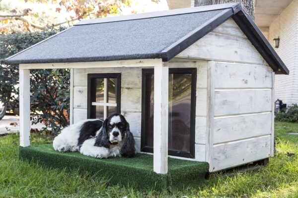 Dog House: Farmhouse Style Pet Kennel With Artificial Turf