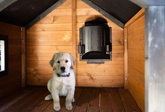 Dog House: Heated Pet Shelter Interior With Wood Planking