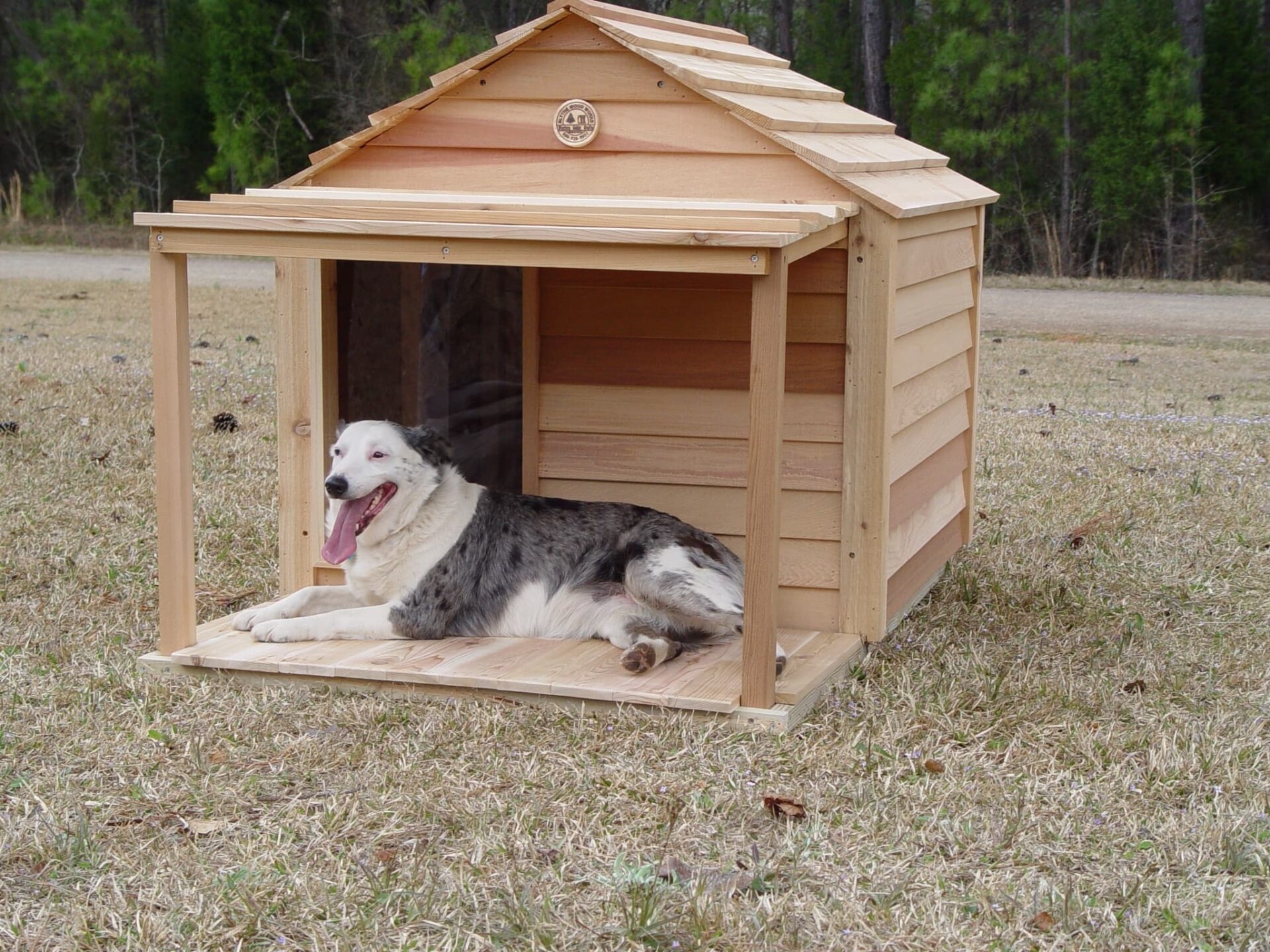 Dog House: Large Wooden Dog House With Pergola Overhang