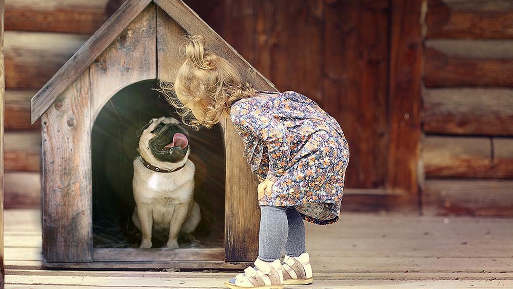 Dog House: Rustic Wooden Dog House With Arched Entry