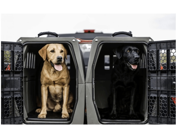 Dog Kennel: Industrial Pet Transport With Honeycomb Mesh