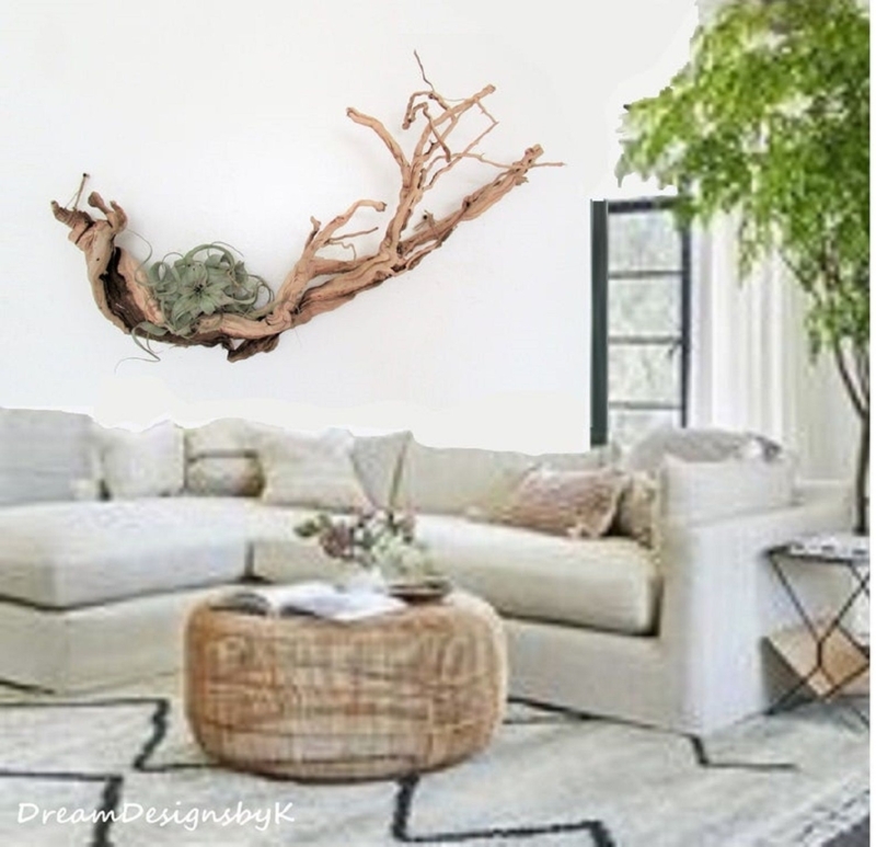 Driftwood Wall Art with Air Plant Holder and Coastal Decor