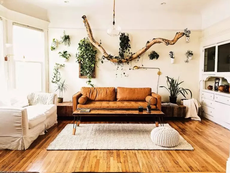 Driftwood Wall Decor: Sculptural Branch Modern Rustic Art