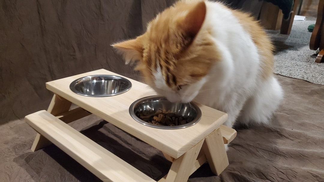 Elevated Pet Feeder Picnic Table Design Whimsical Rustic