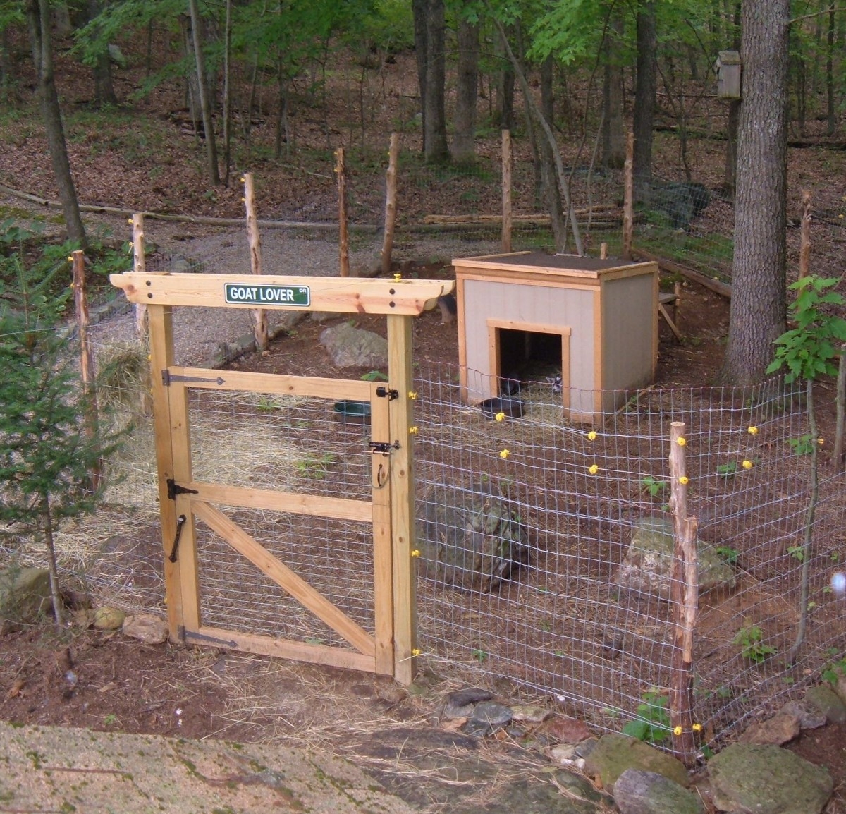 Goat Enclosure Wooded Setting with Goat Lover Sign and Gate