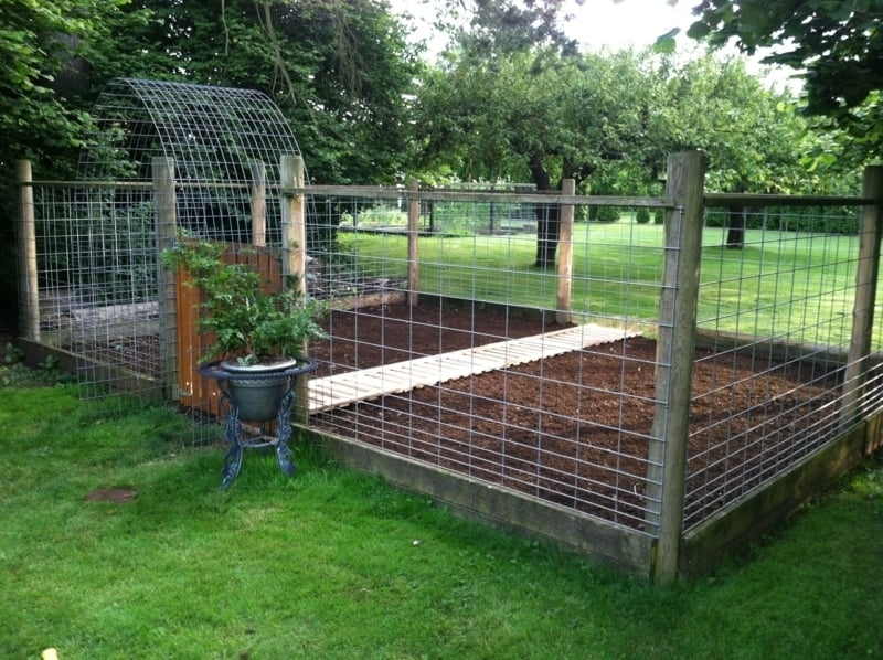 Goat Pen Hog Wire Mesh with Arched Trellis Top Garden Enclosure