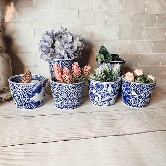 Indoor Planter Set: Mini Vessels & Hand Painted Blue Floral Ceramic Set