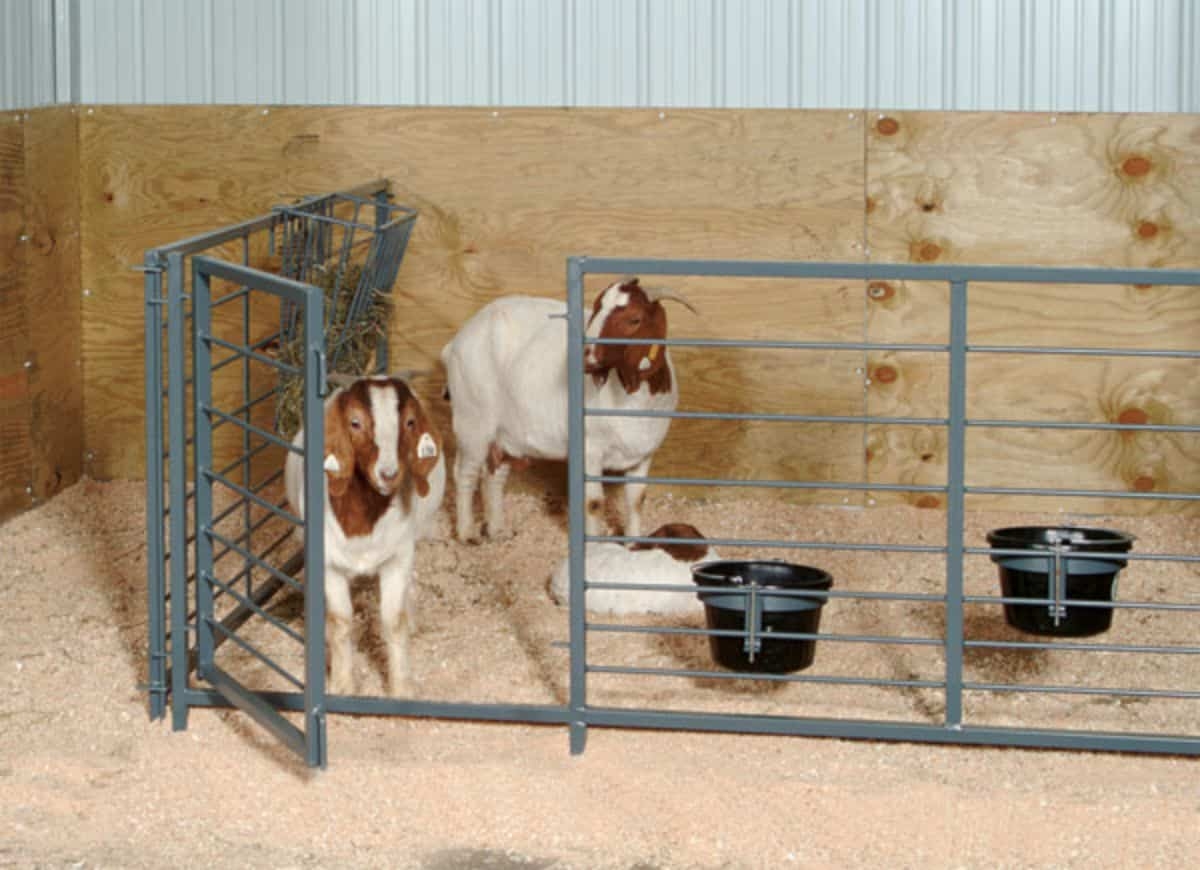 Livestock Pen Steel Gray Integrated Hay Rack and Swinging Gate