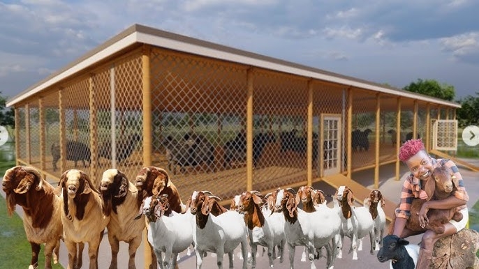 Livestock Shelter Timber Frame with Mesh Walls and Modern Design