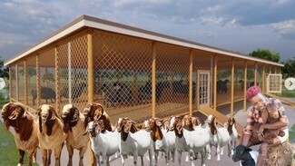 Livestock Shelter Timber Frame with Mesh Walls and Modern Design