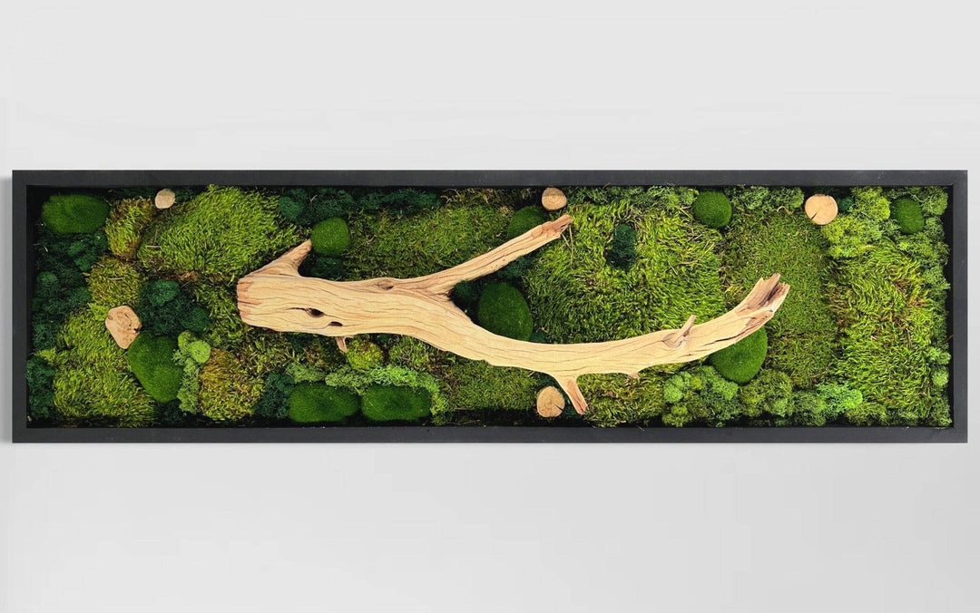 Moss Wall Art Pillow Moss Textures Panoramic Biophilic Decor