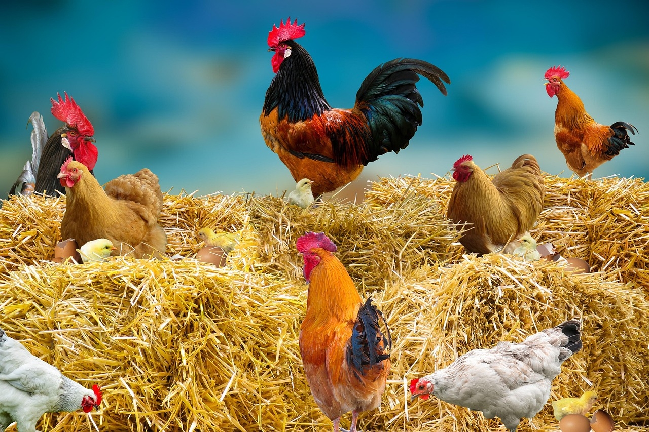 Nature Wallpaper with Golden Straw Base for Farm Life Aesthetic Mural