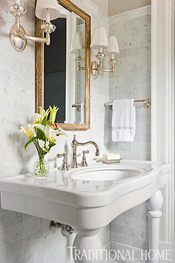 Pedestal Sink Molded Legs Traditional Pedestal Sink