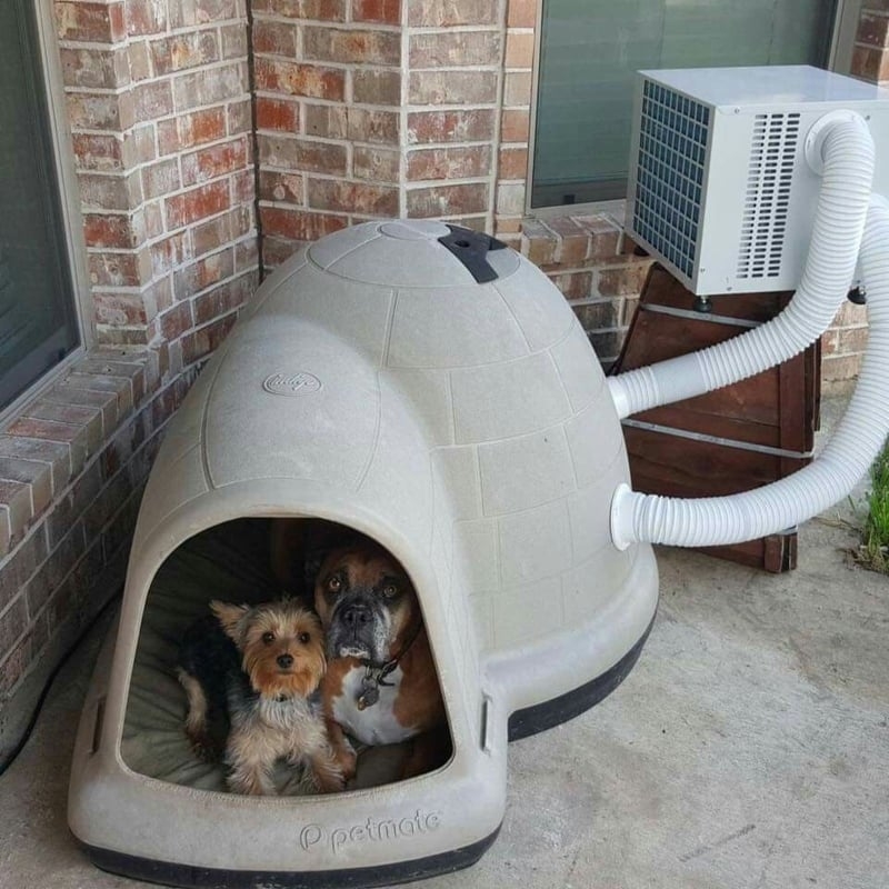 Pet Cooling House: Igloo Dog House Climate Control System