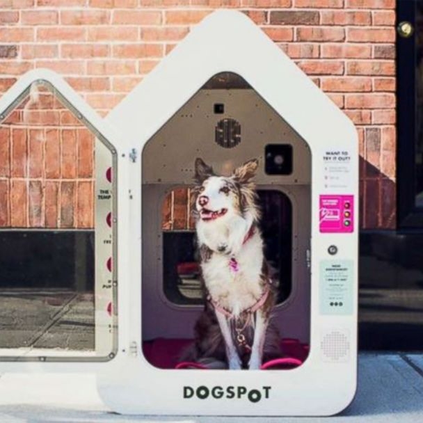 Pet Enclosure: Modern Pet Enclosure With Tech Enabled Features