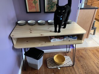 Pet Feeding Table Hairpin Legs Minimalist Pet Organizer