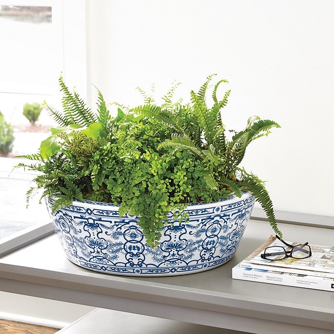 Planter Bowl: Low Profile Chinoiserie Bowl for Mixed Fern Indoor Garden