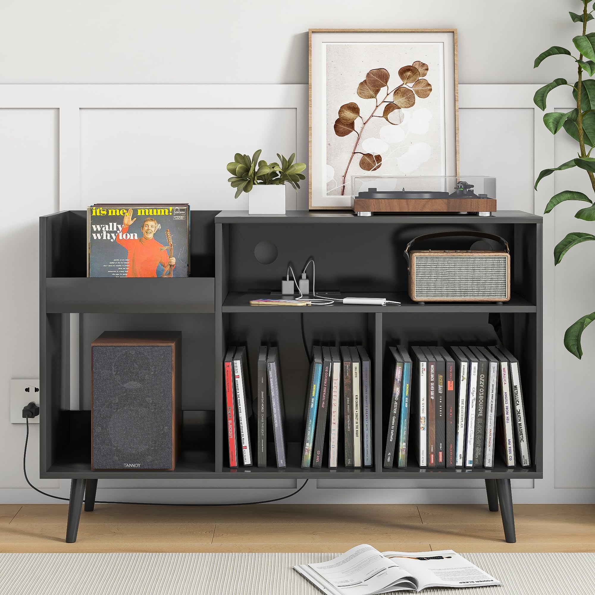 Vinyl Record Storage Furniture