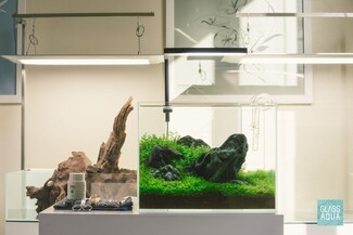 Rimless Aquarium with Internal Rockwork and Glass Lily Pipes