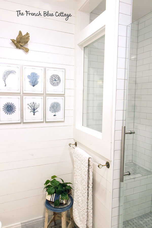 Shower Enclosure with Glass Partition Window and Shiplap Walls