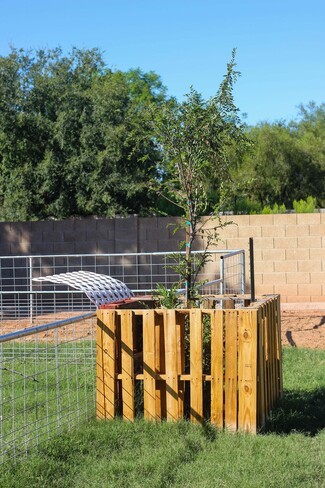 Tree Enclosure Wood Pallet Modular Design for Livestock Protection