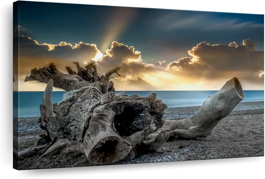 Wall Art Crepuscular Rays Rhodes Island Driftwood Canvas