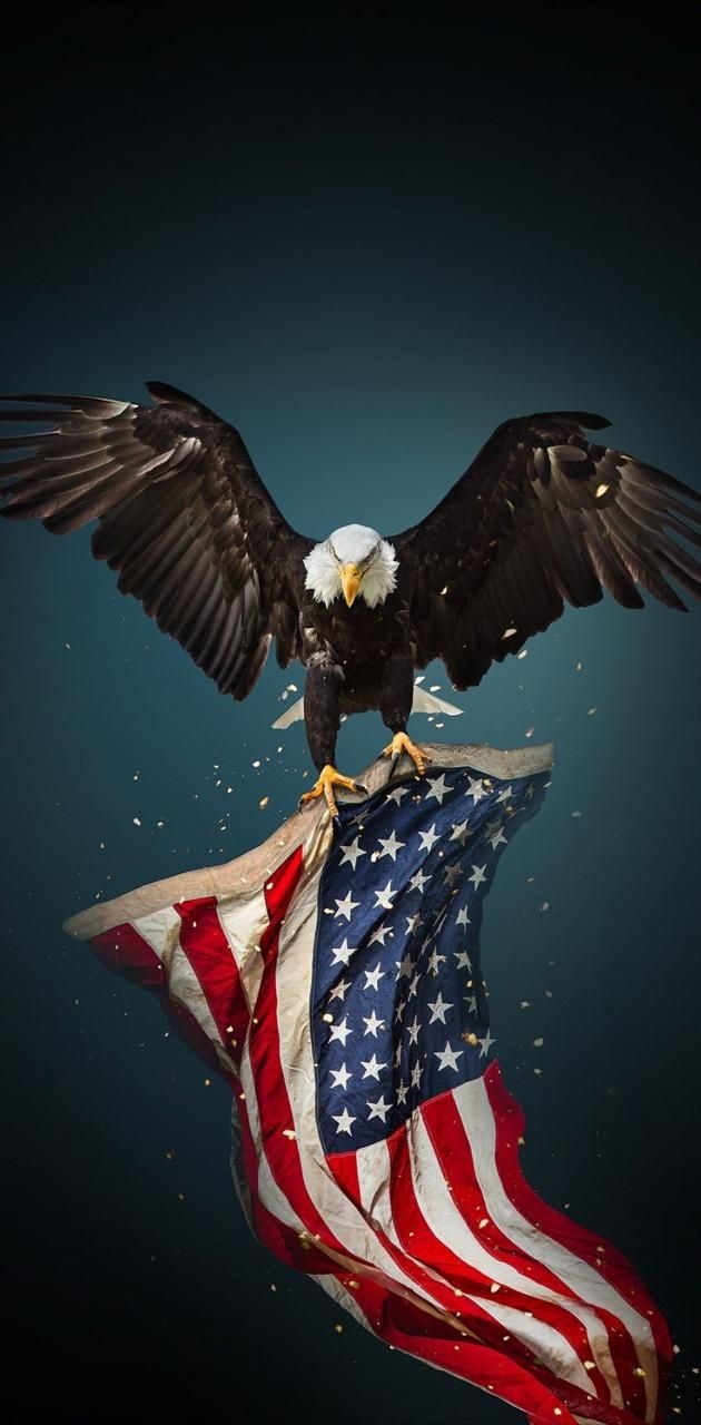Wall Art Eagle Perch Distressed Flag Patriotic Illustration