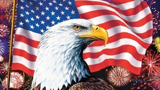 Wall Art Fireworks Background Eagle Head Patriotic Decor