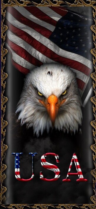 Wall Art Ornate Gold Frame Photorealistic Eagle USA Print