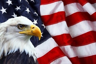 Wall Mural Bald Eagle Profile Vibrant Patriotic Wall Art
