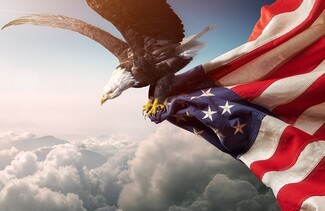 Wall Mural Soaring Eagle Cloud Background Patriotic Mural