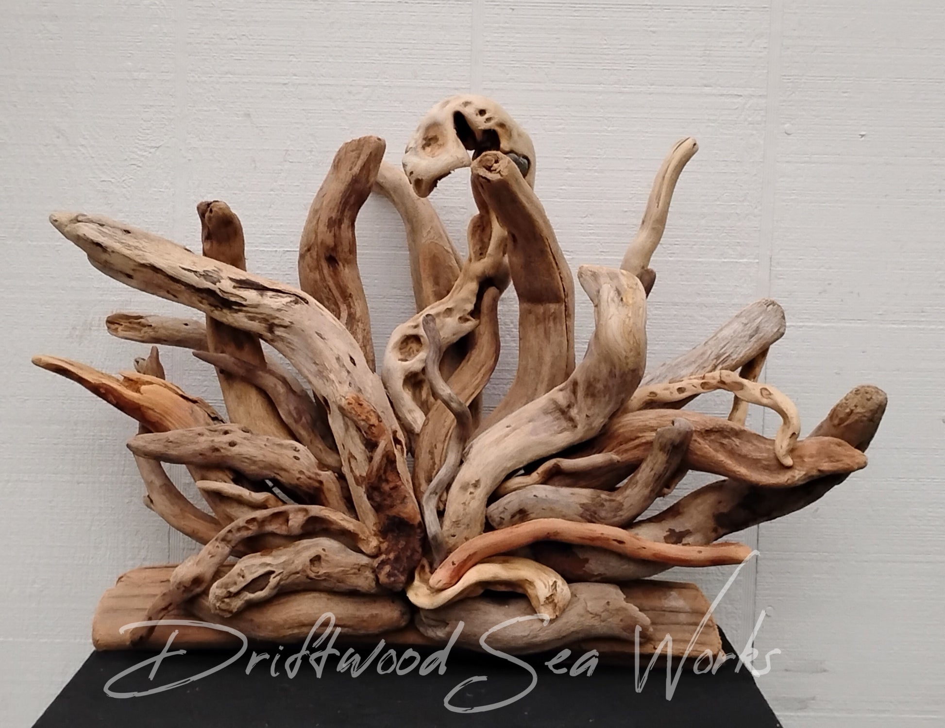 Wall Sculpture Gnarled Limbs Natural Driftwood Sculpture
