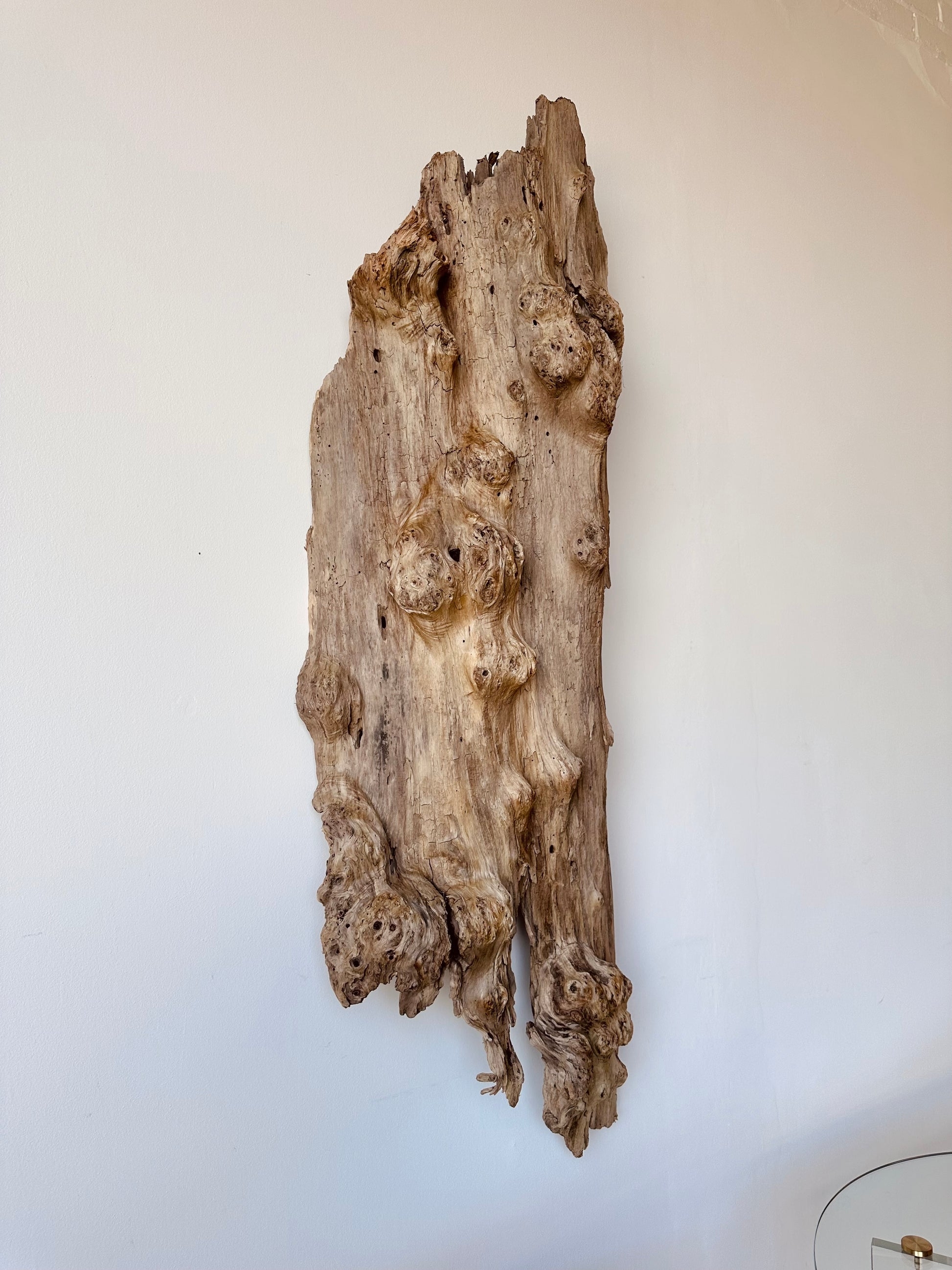 Wall Sculpture: Organic Burl Wood Piece with Weathered Finish
