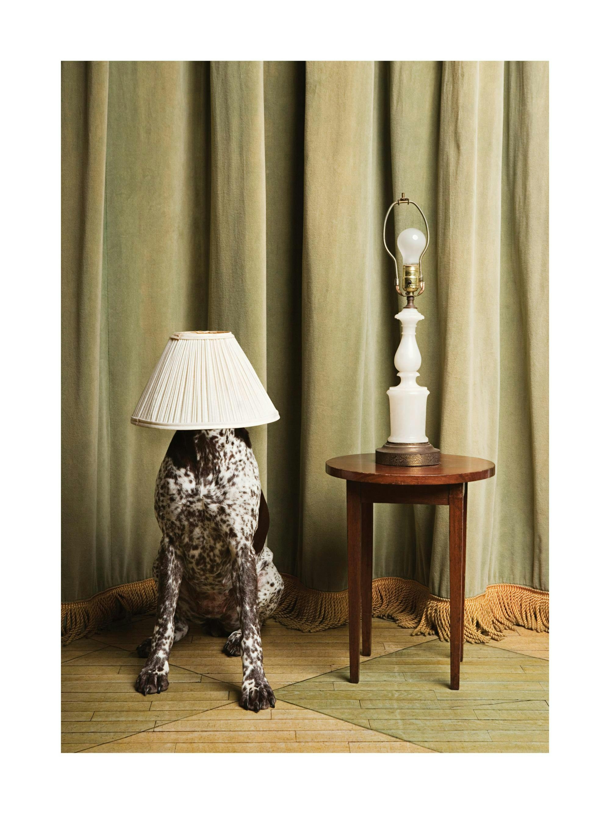 Art Print: Surrealist Dog with Lampshade Sage Green Wall Art