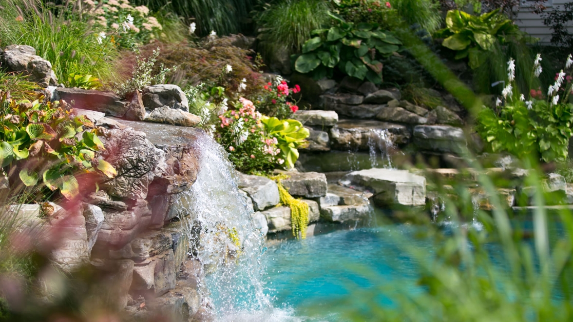 Backyard Waterfall: Integrated Pool Oasis Rock Ledges