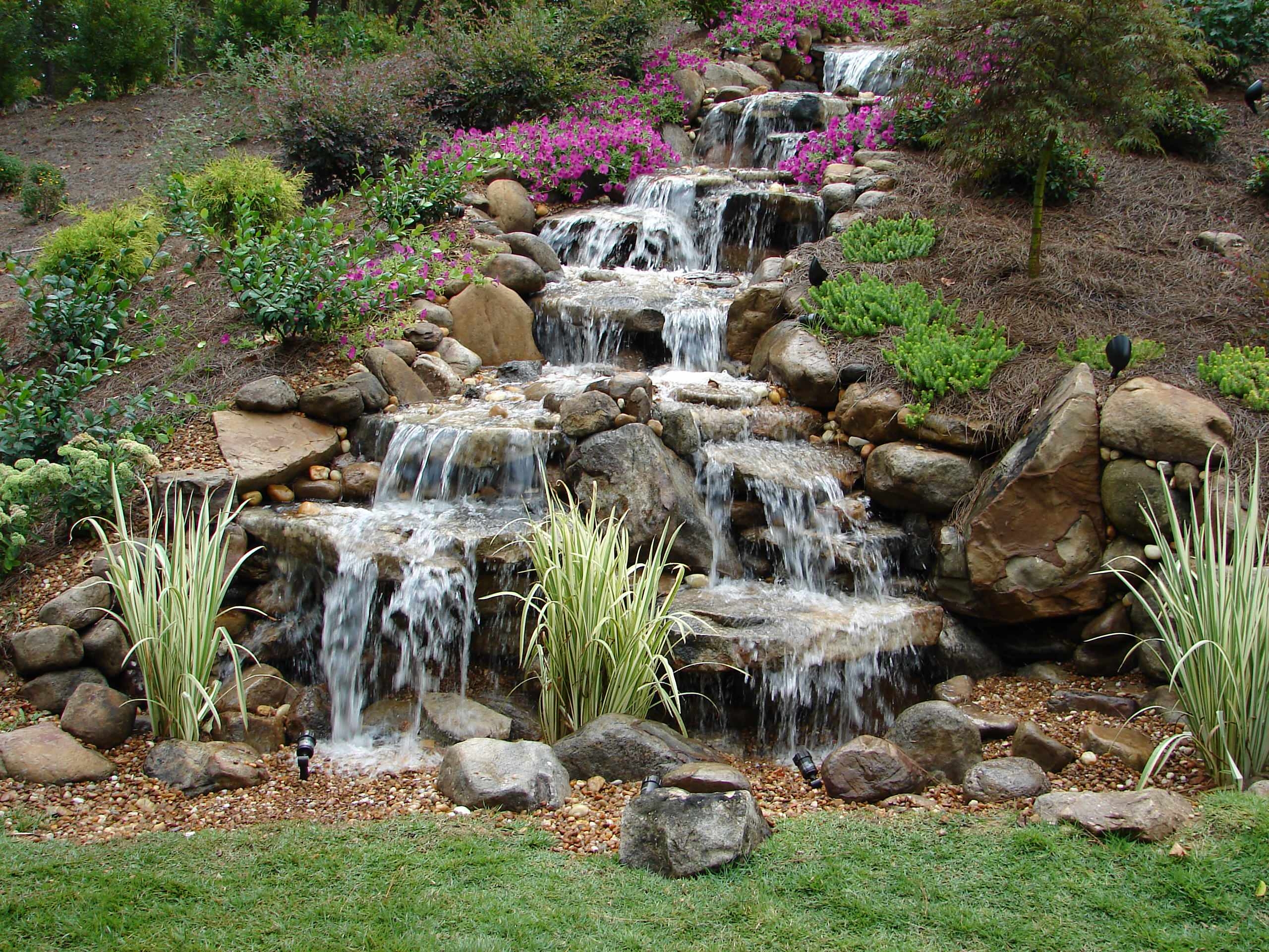 Backyard Waterfall: Magenta Purple Bloom Rock Cascade